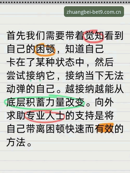 BET9登录官方版中国主站CN站完整指南：从数据迷雾到赛场真相的破局之道